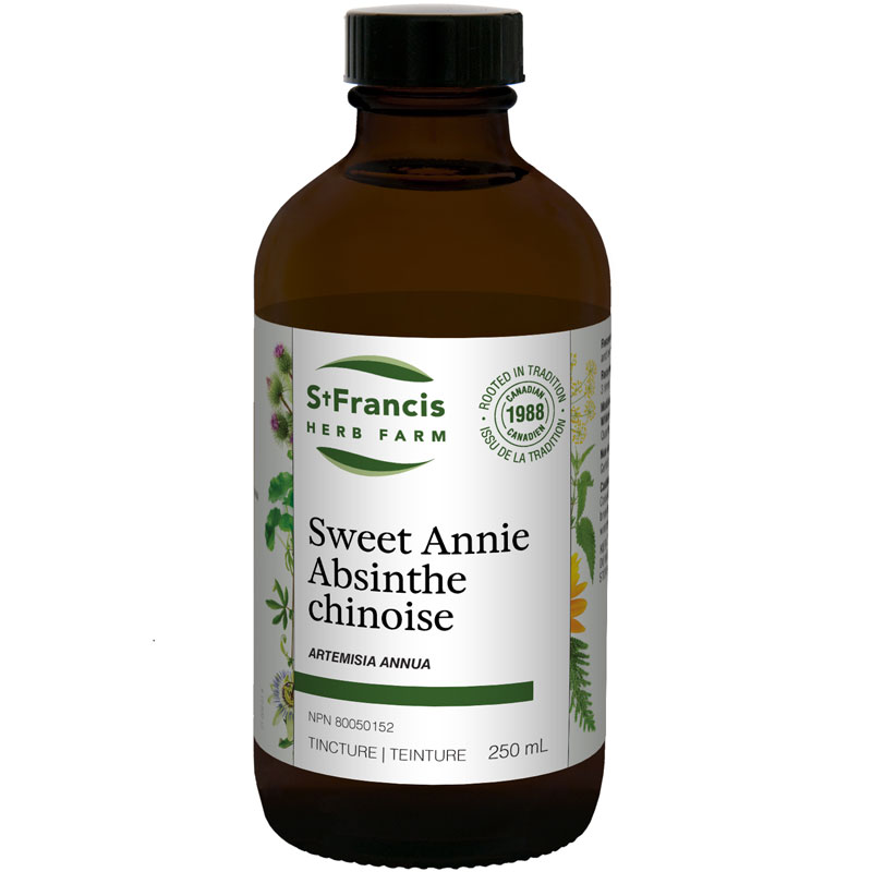 Sweet Annie by St Francis Herb Farm