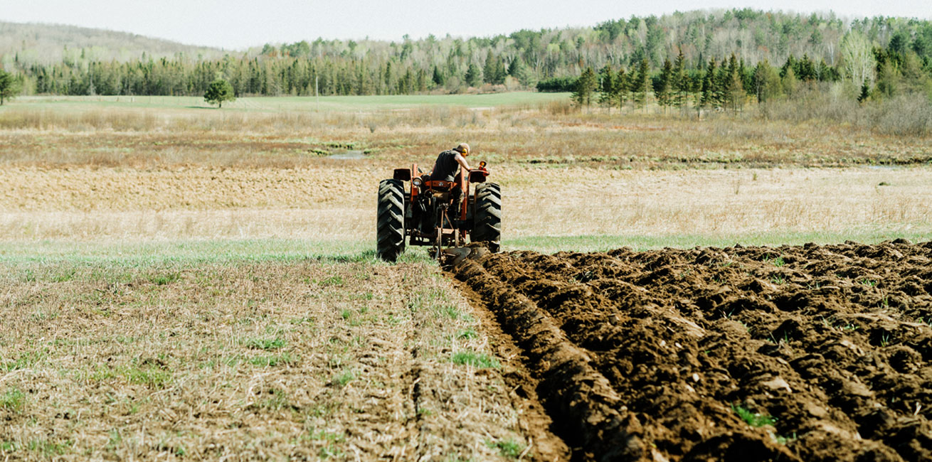 Plowing the field at St. Francis Herb Farm