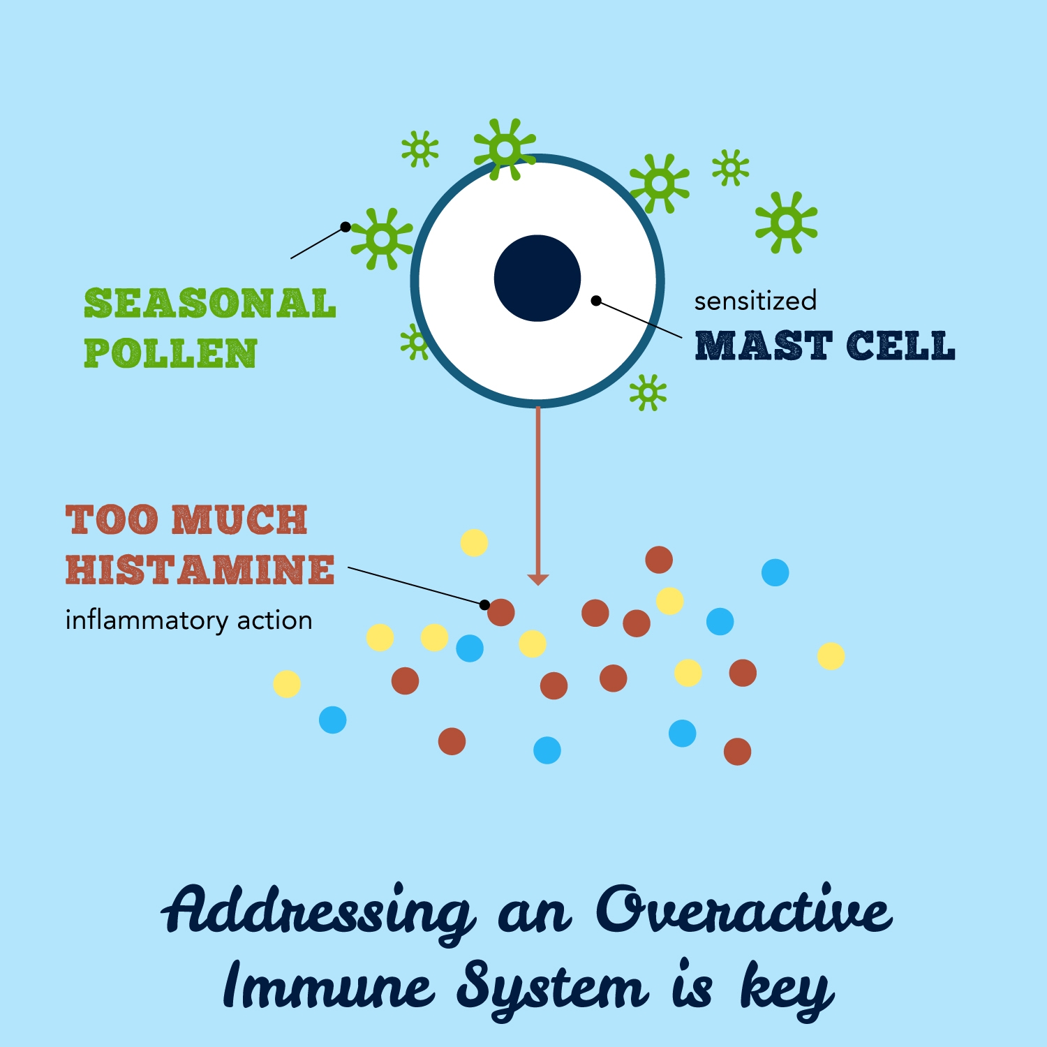 Addressing and Overactive Immune System is Key