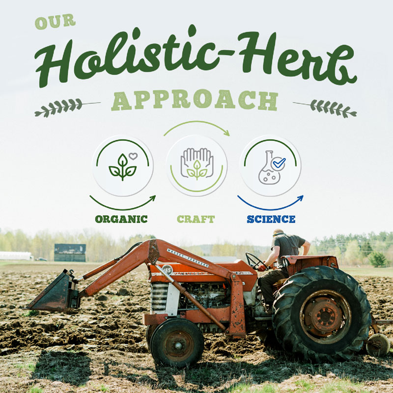 Our Holistic Herb Approach