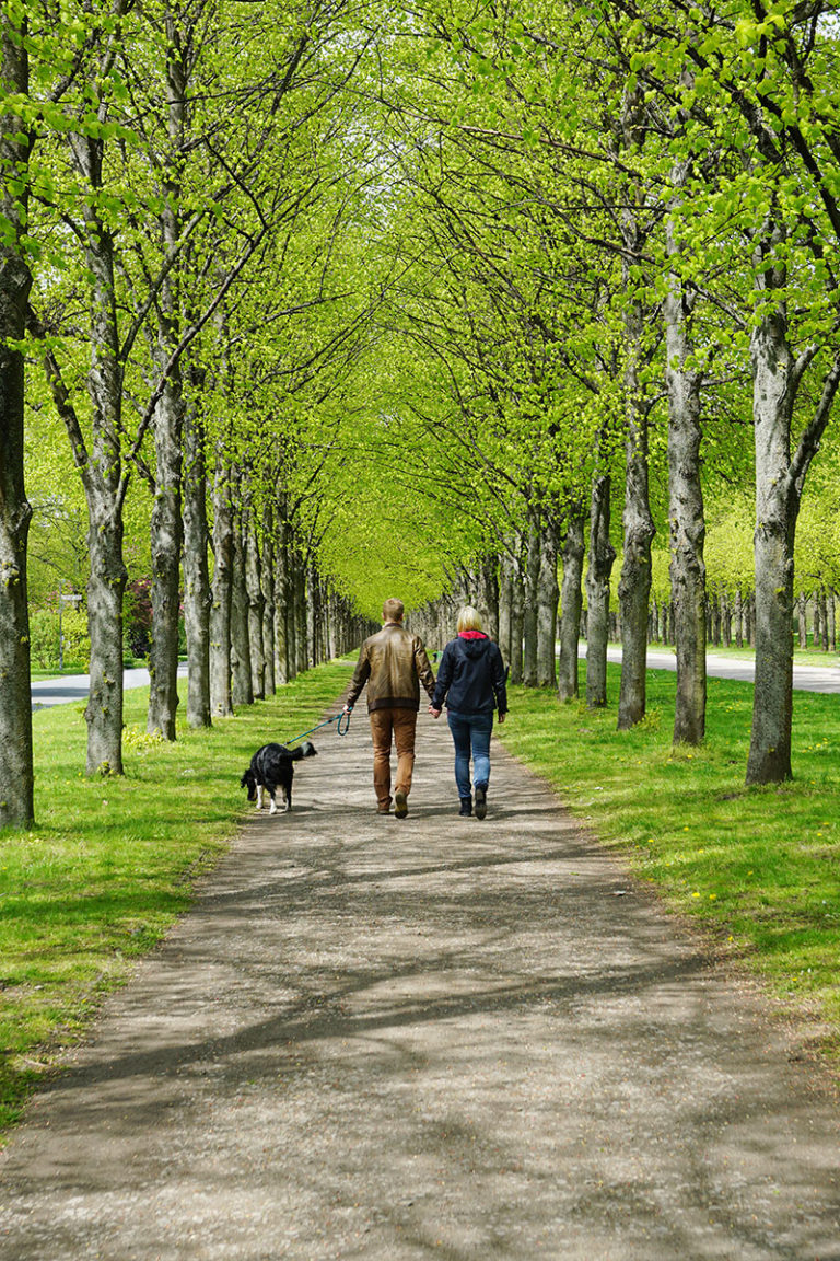 Mens Health - Walking Outdoors with Dog
