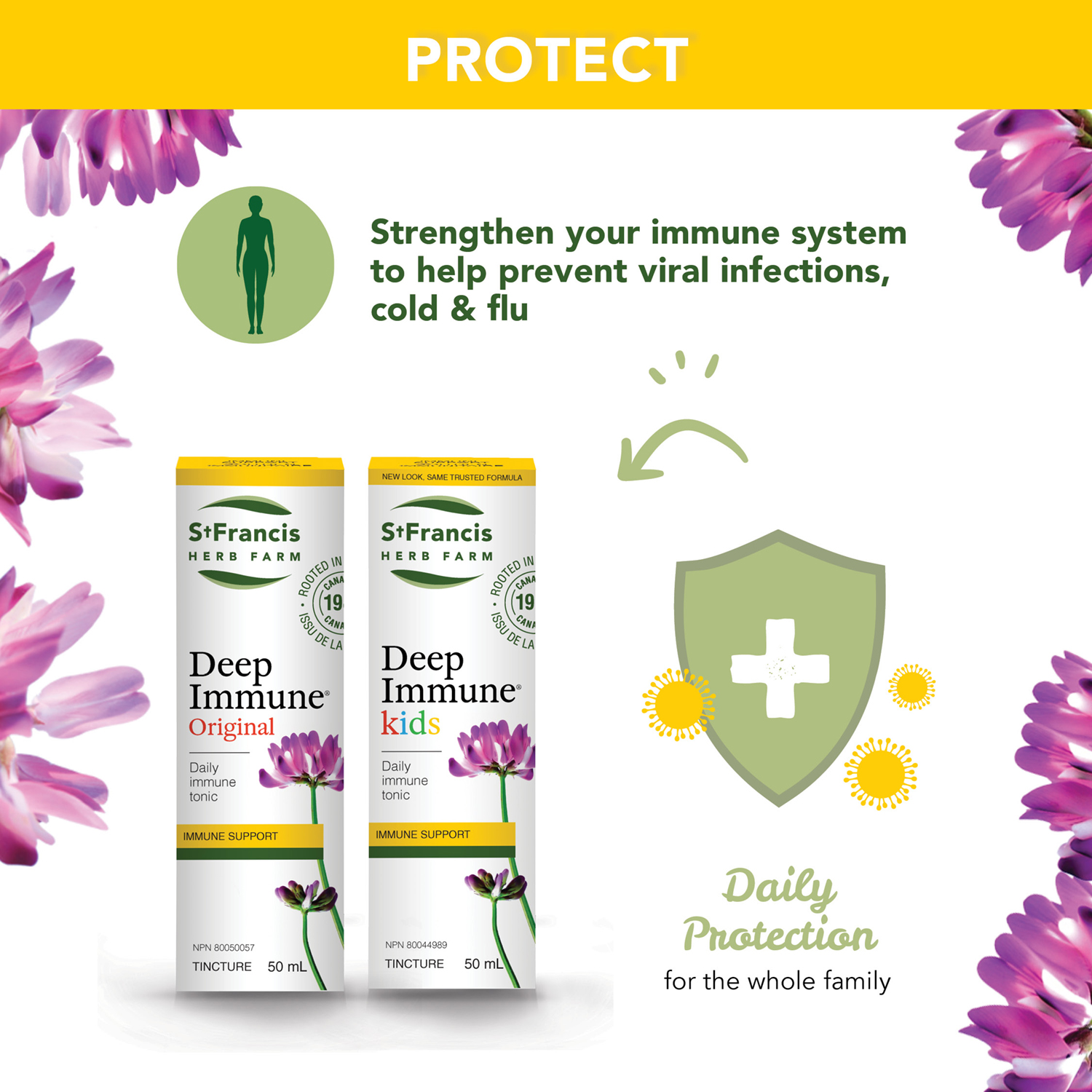 Protect: Strengthen your immunity to help prevent viral infections, cold and flu