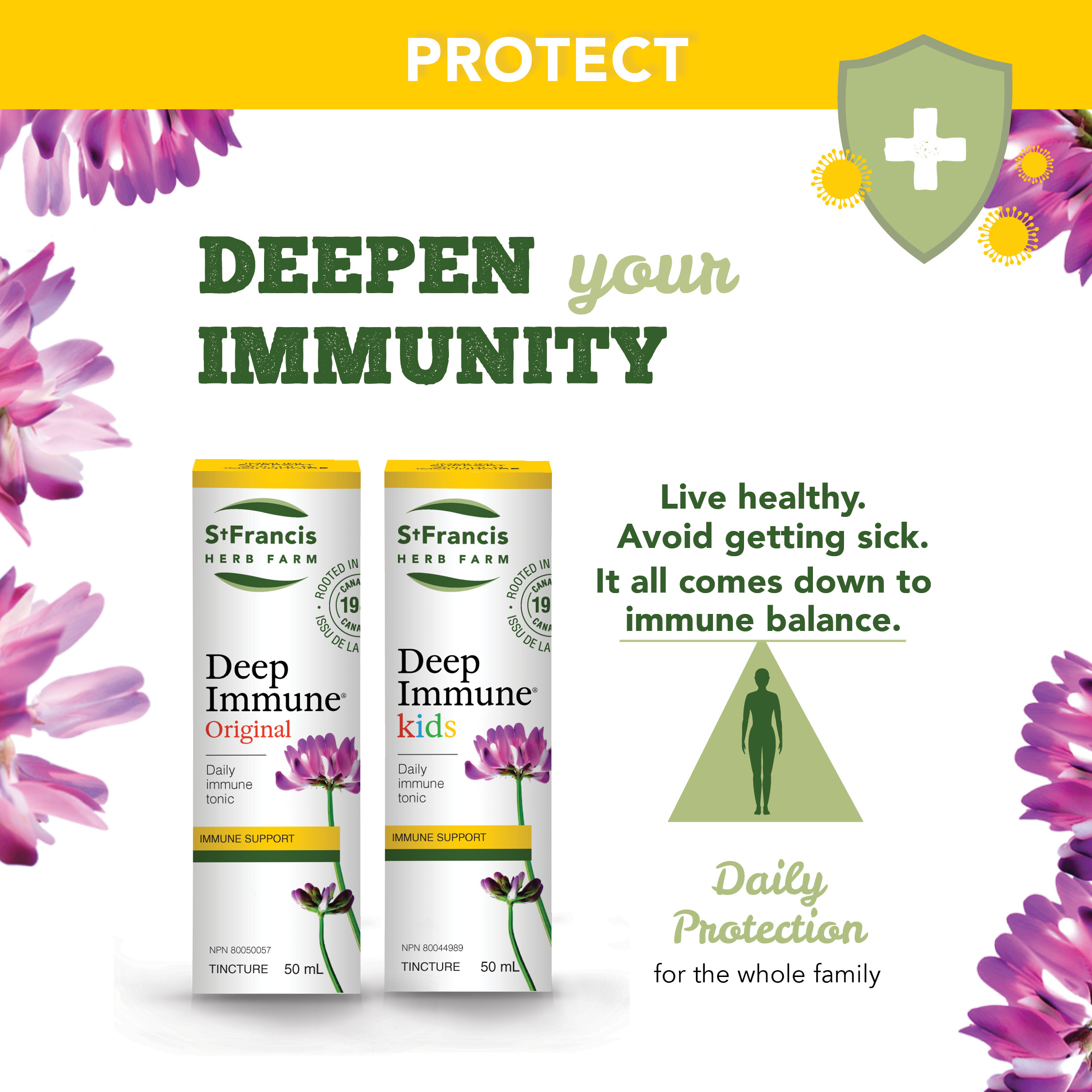 Protect: Deepen your Immunity