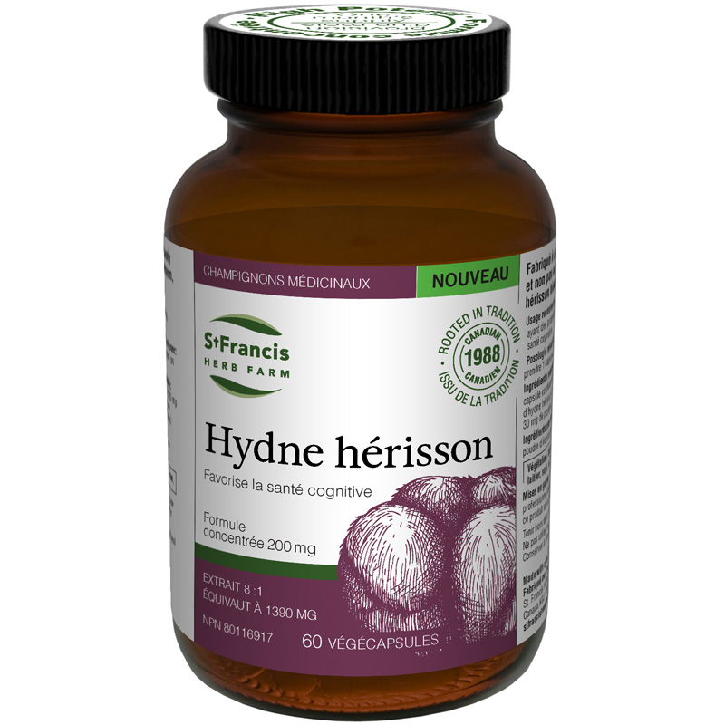 Hydne Herisson