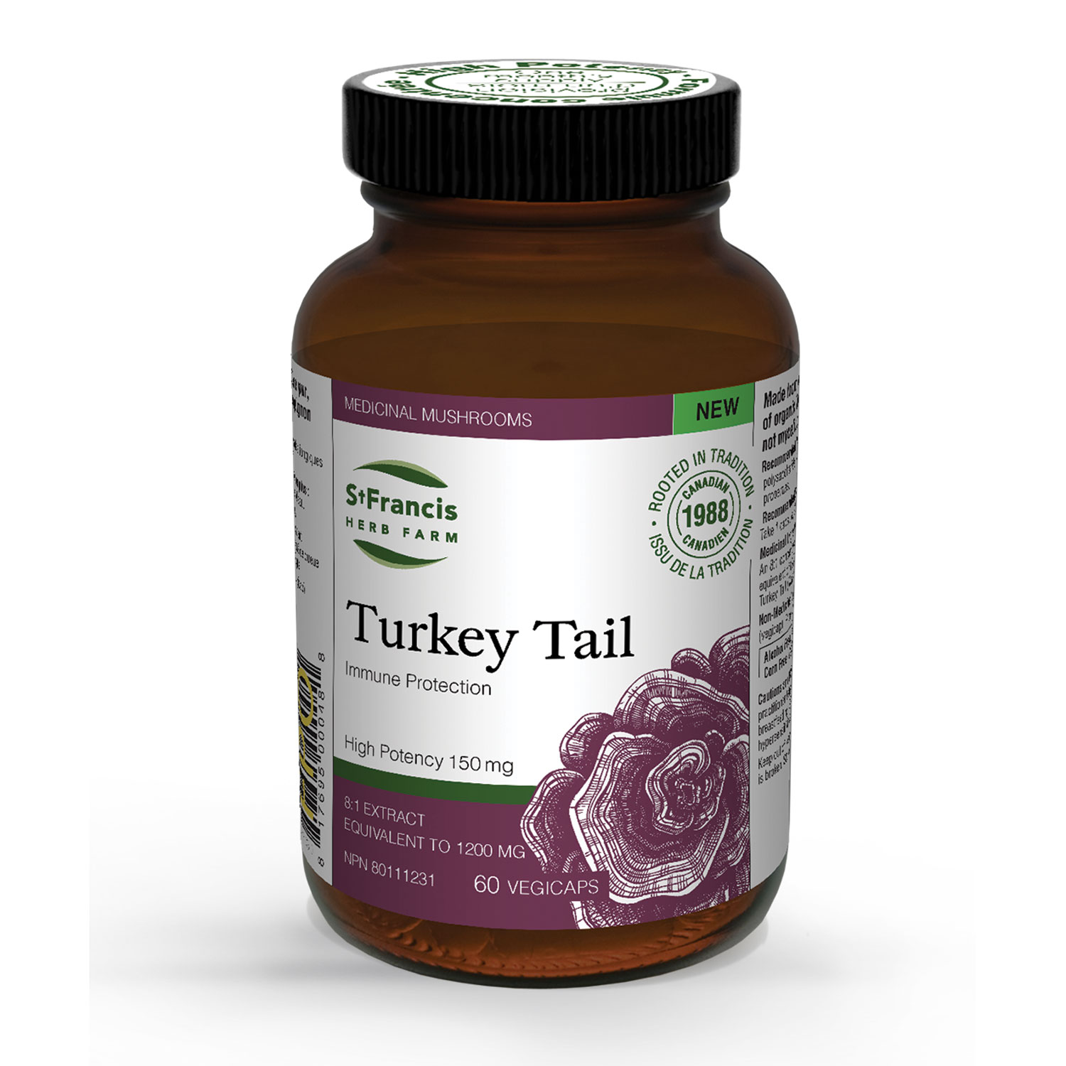 Turkey Tail for Digestive Support