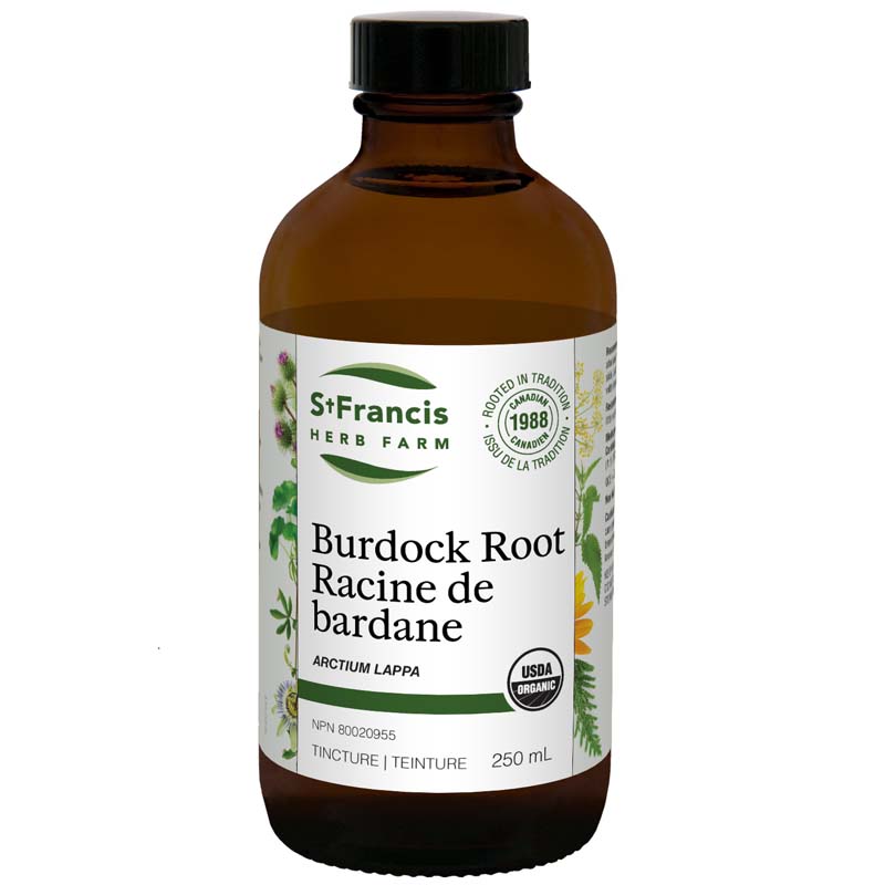 Burdock Root - By St. Francis Herb Farm