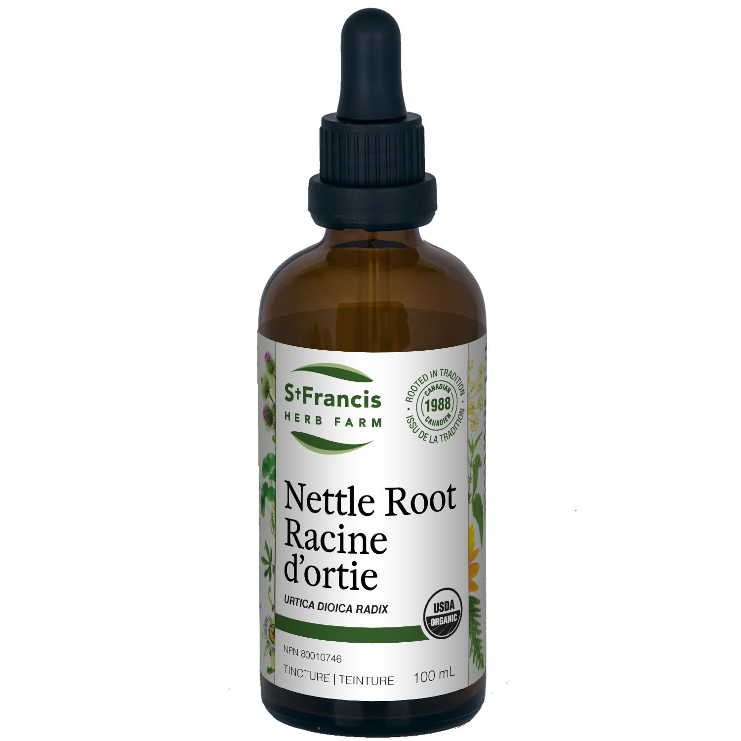 Nettle Root | Racine d'ortie