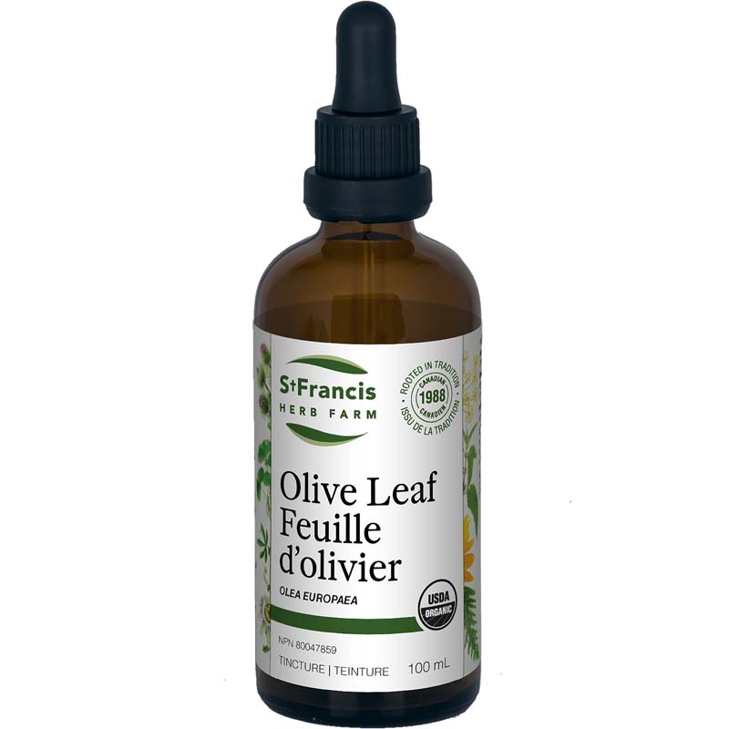 Olive Leaf | Feuille d'olivier