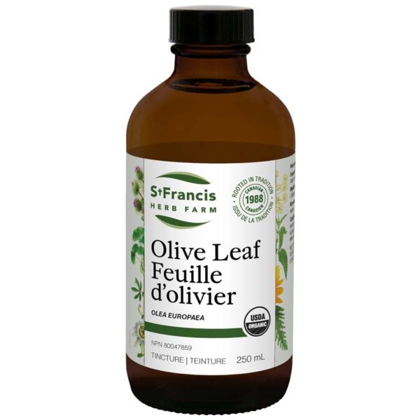 Olive Leaf | Feuille d'olivier