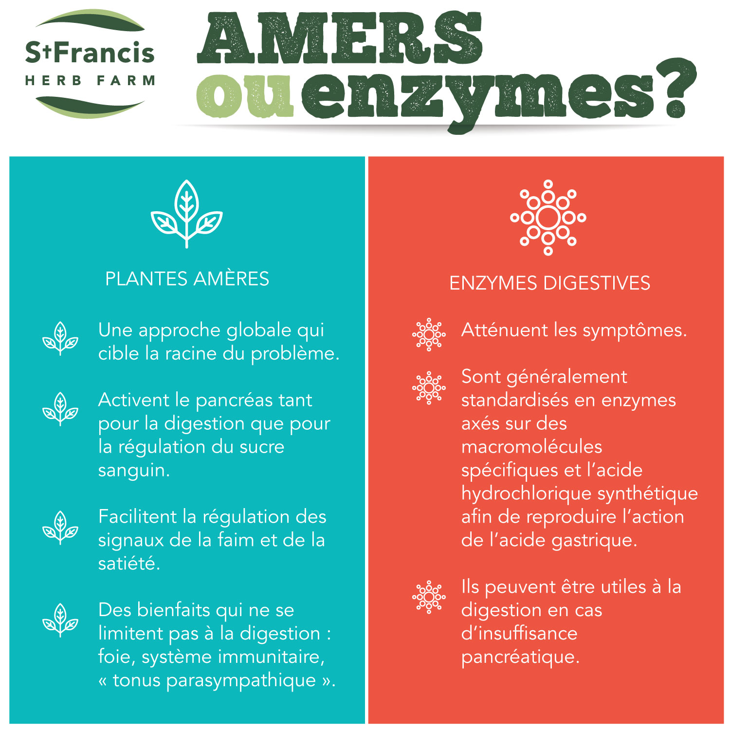 Amers ou enzymes?