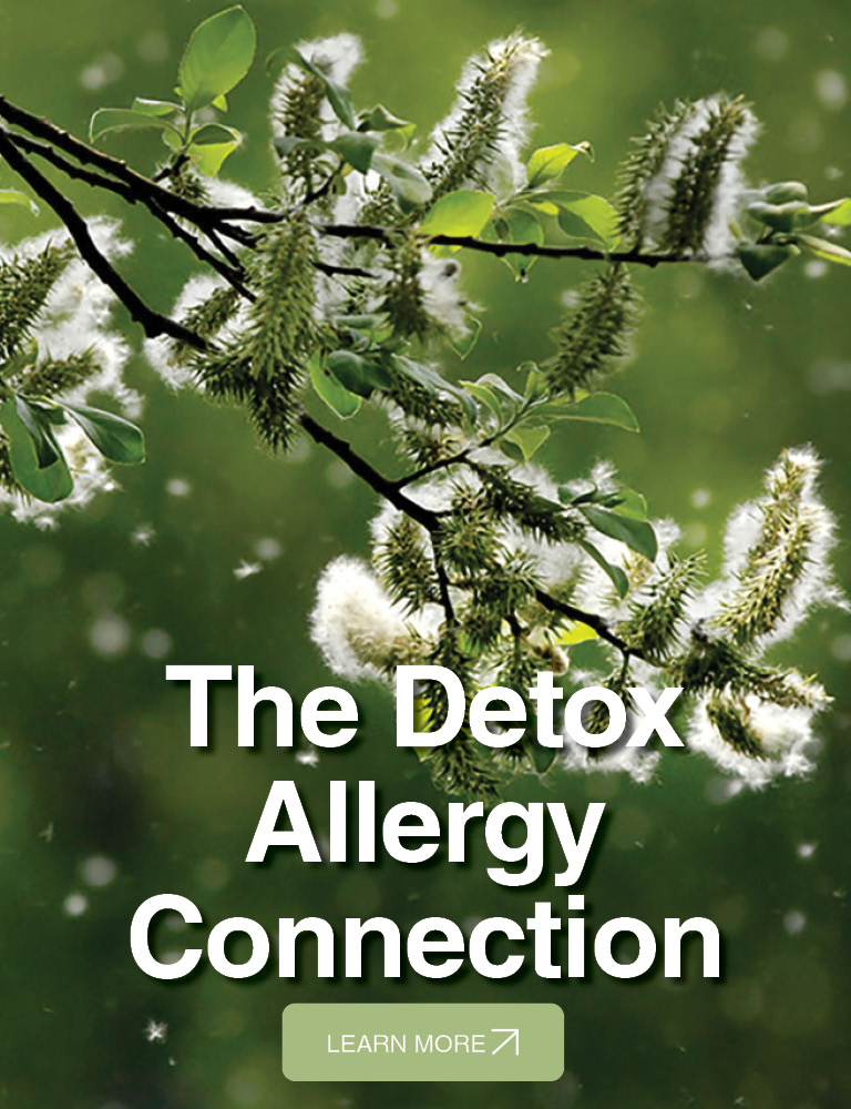Detox-Allergy Connection