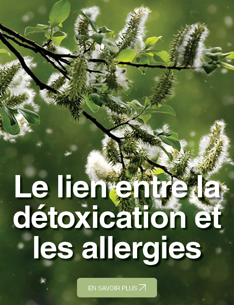 Le lien entre la détoxication et les allergies