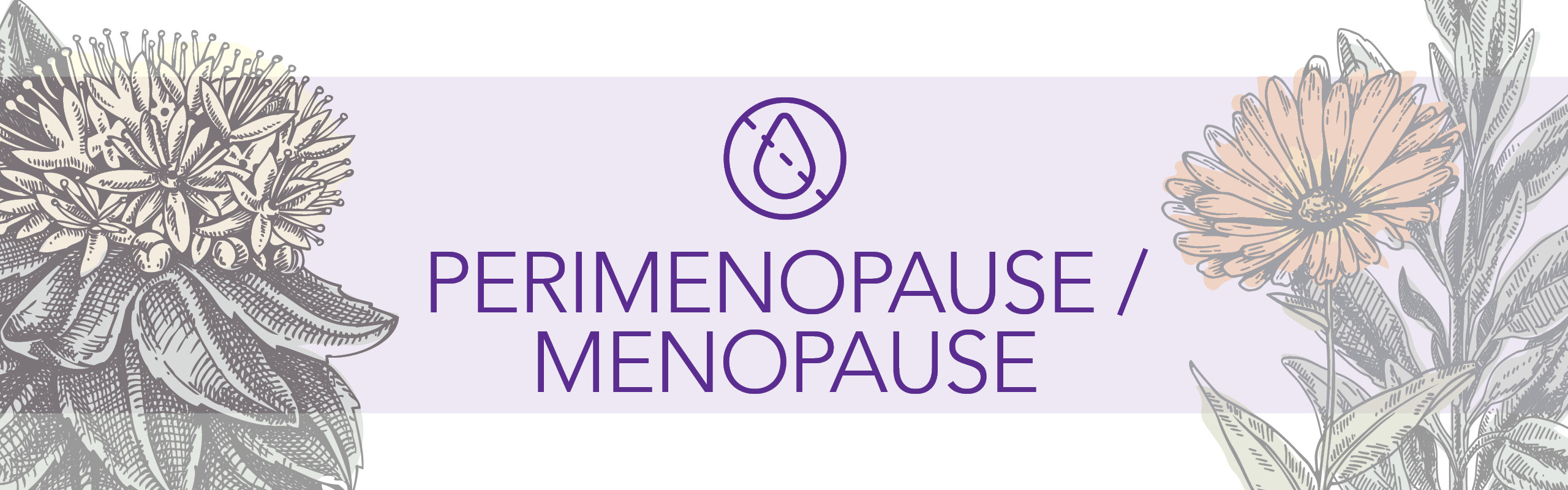 Perimenopause/menopause