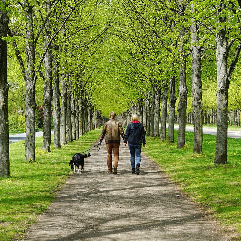 Mens Health - Walking Outdoors with Dog